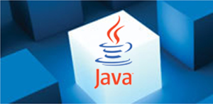 Java-cub